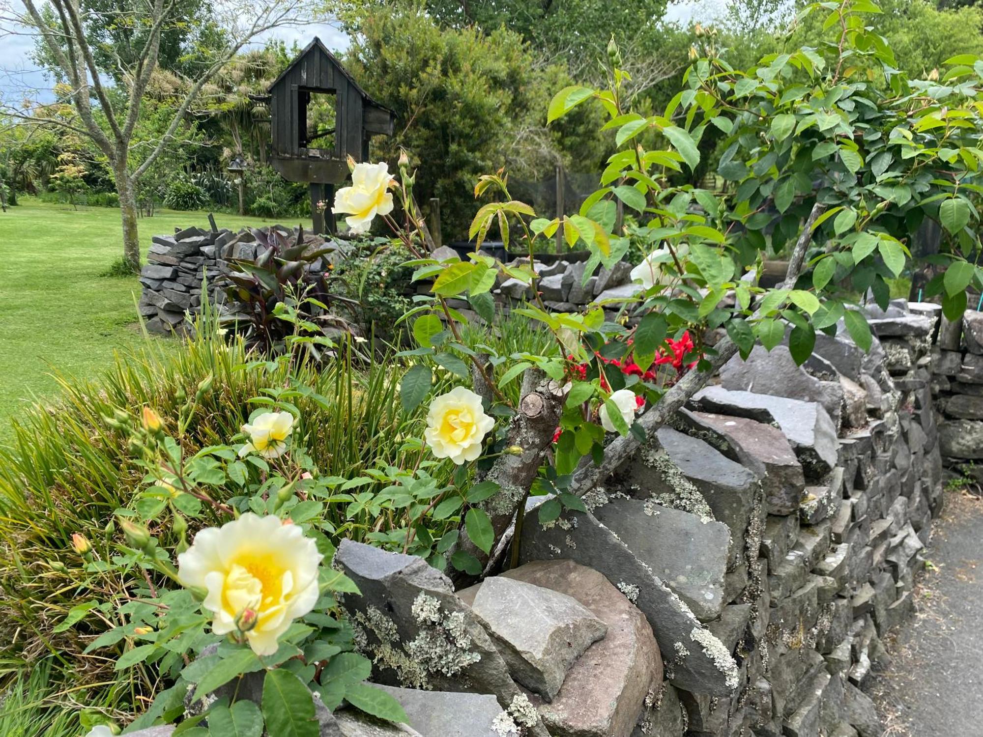 Willows Reach Lodge Kumeu Exteriér fotografie