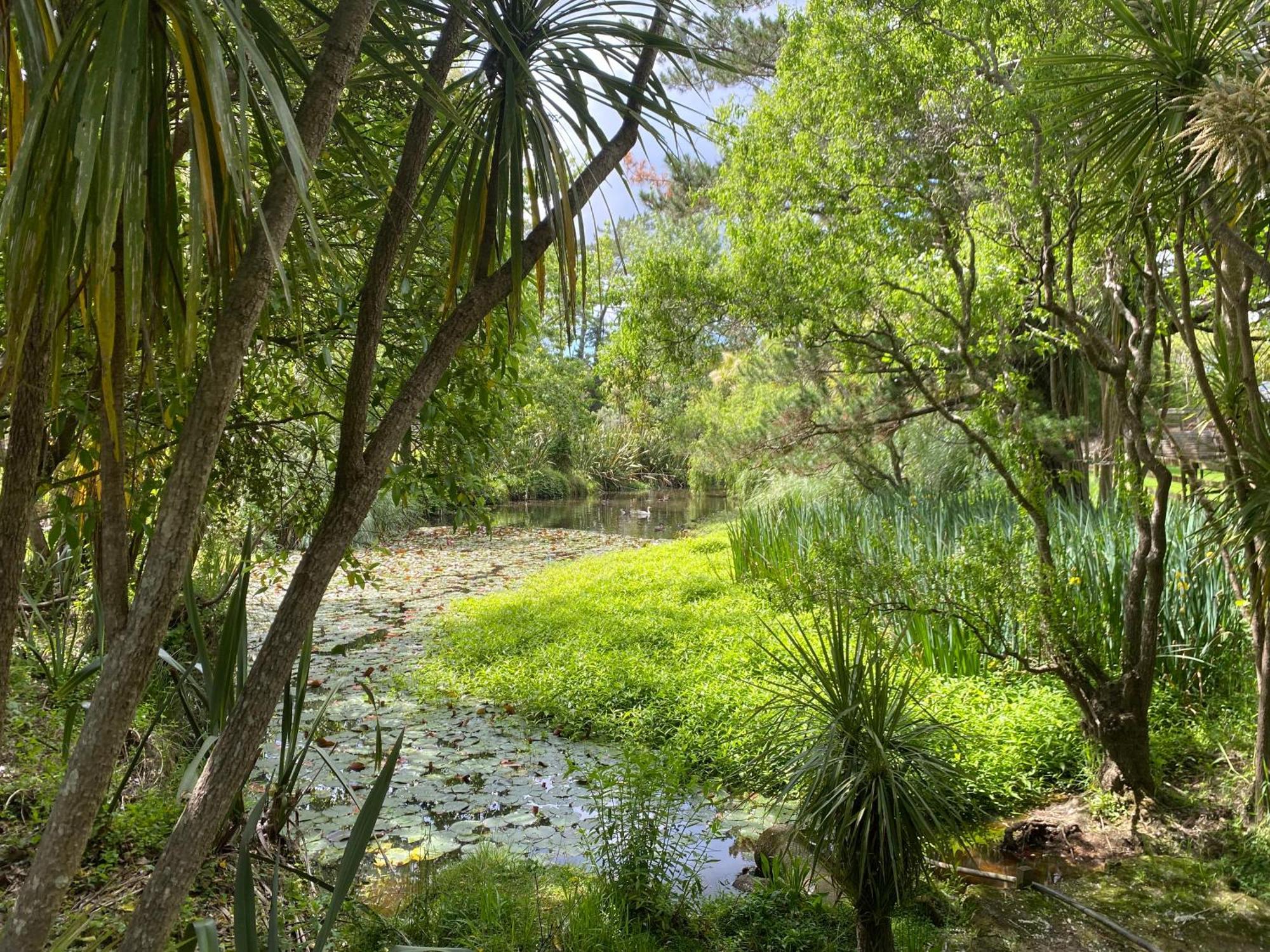 Willows Reach Lodge Kumeu Exteriér fotografie