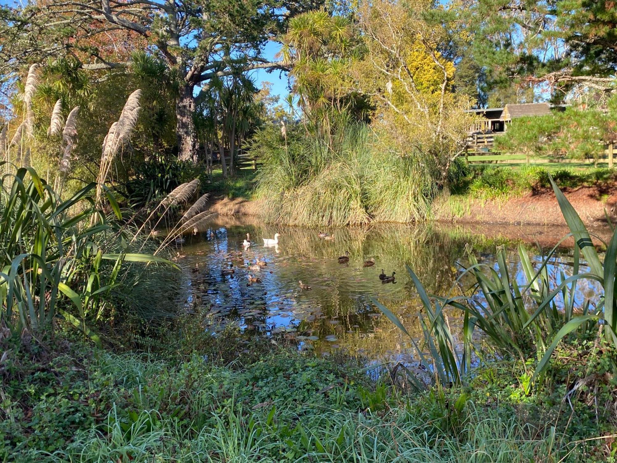 Willows Reach Lodge Kumeu Exteriér fotografie